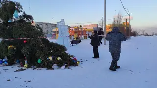 В Кемерово ураганный ветер снес новогоднюю елку