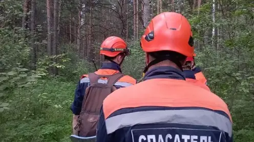 В Красноярском крае идут поиски ушедшей в лес 95-летней пенсионерки