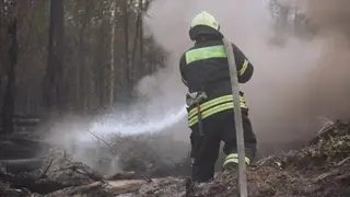 Власти Якутии направила около миллиарда рублей на охрану лесов от пожаров