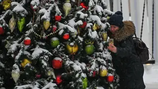 В Новосибирске установили главную новогоднюю елку