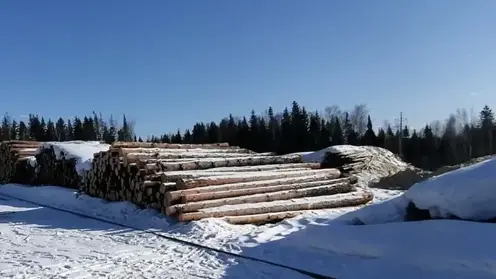 Контрабанду около четырех тысяч кубометров лесоматериалов пресекли в Красноярском крае