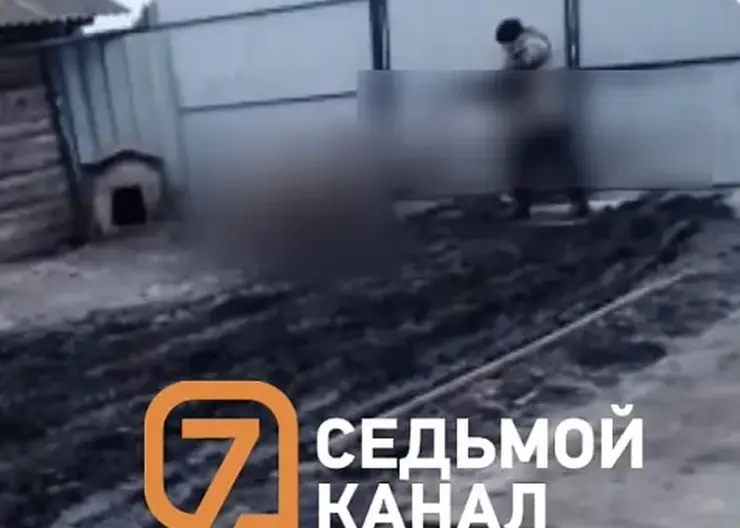 В Красноярском крае трое мужчин застрелили домашнюю собаку. Видео убийства скинули 13-летней девочке