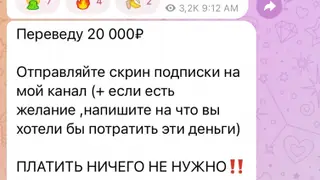 В Якутске 9-летняя девочка подписалась на фейковый telegram-канал и перевела аферистам более 132 тысяч рублей