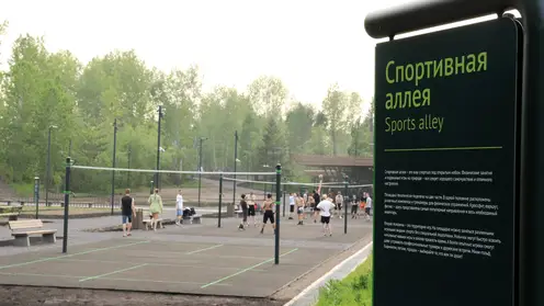 Новая спортивная аллея появилась в Красноярске на острове Татышев