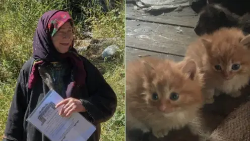 Кошки спасли от змей отшельницу Агафью Лыкову