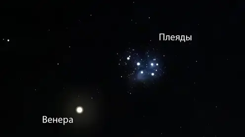 11 апреля в Красноярске Венера пройдёт рядом со звёздным скоплением Плеяды